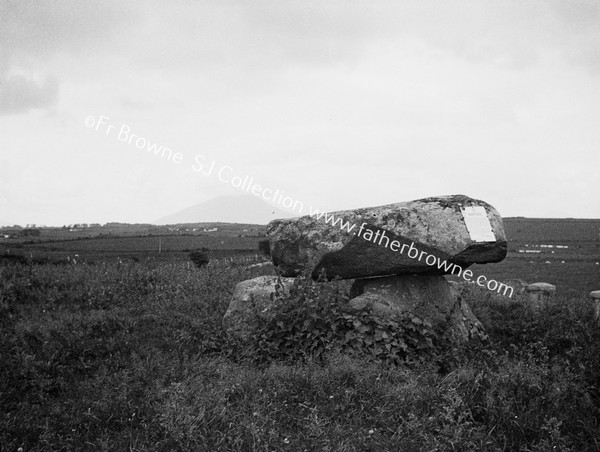 CROMLEACH NEAR RAILWAY STATION 